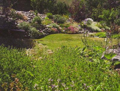 gallery/medium/202 (32)-Garden-Design-Sun-Valley-Idaho.jpg